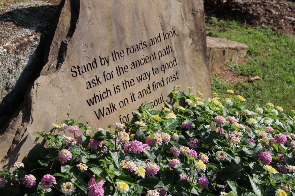 70487829_10156961410035958_2739036515949608960_n