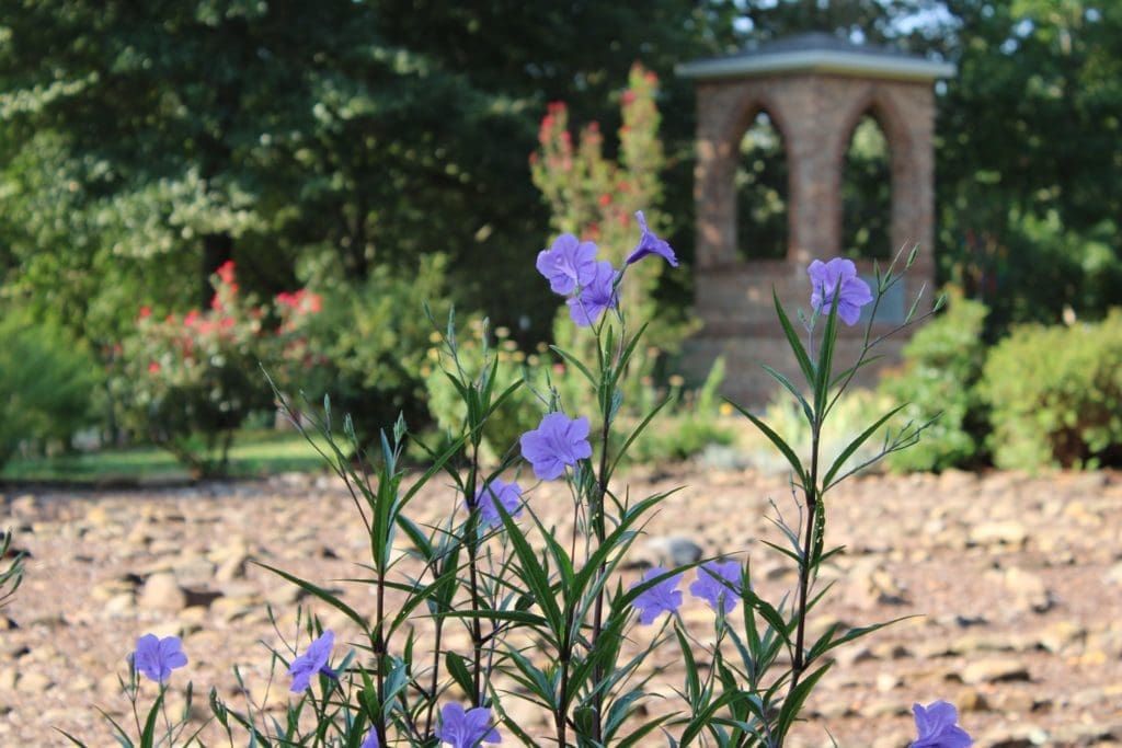 70576473_10156961409800958_1796590888705589248_n