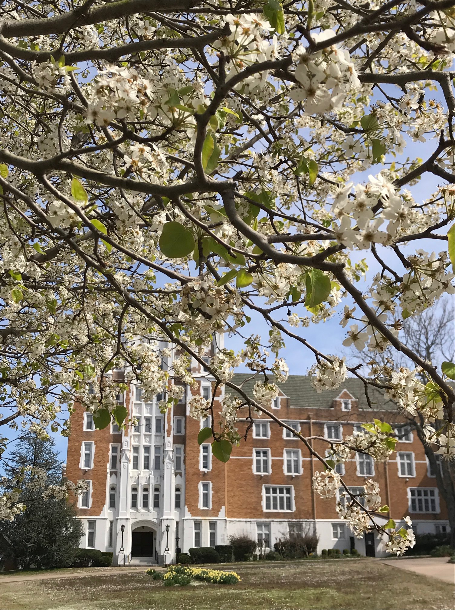 Saint Scholastica Academy Benedictine Hall Renovation - Holly & Smith