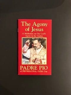The Agony of Jesus: A Meditation on Our Lord's Agony in the Garden