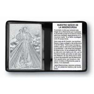 Prayer Folder - Carpeta de oración de la Divina Misericordia