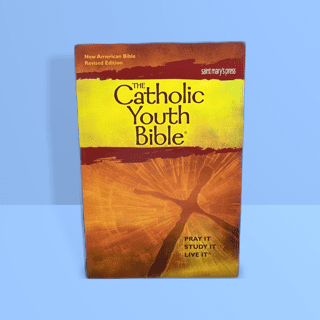 The Catholic Youth Bible, NABre Gift Edition