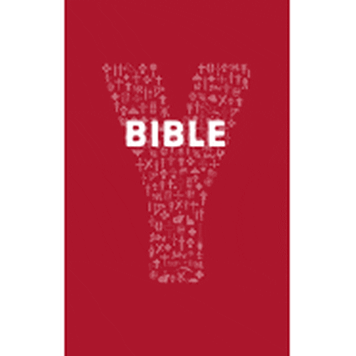 Youcat Bible