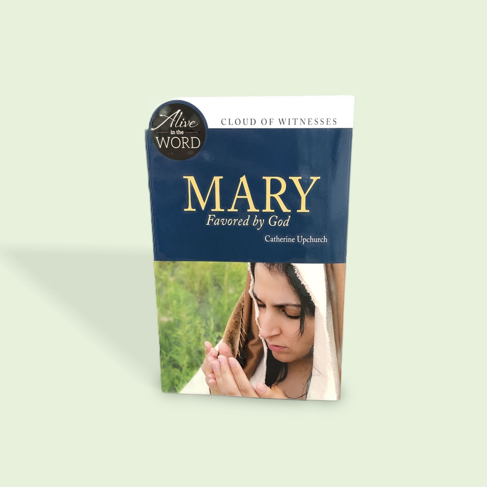 Mary Favored by God