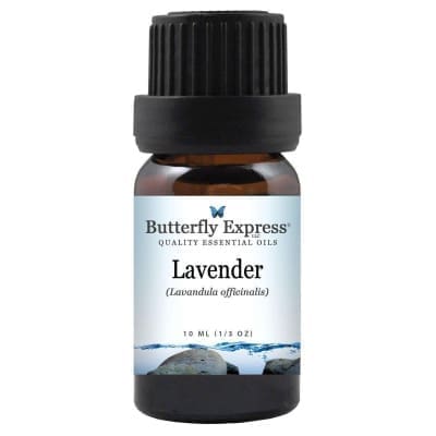 Essential Oil, Lavender