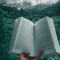 kourosh-qaffari-RrhhzitYizg-unsplash