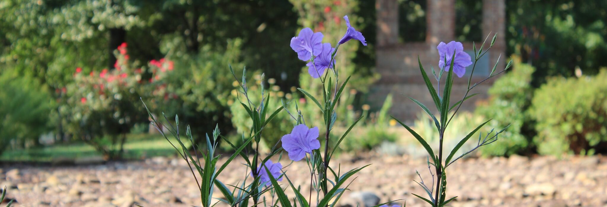 70576473_10156961409800958_1796590888705589248_n